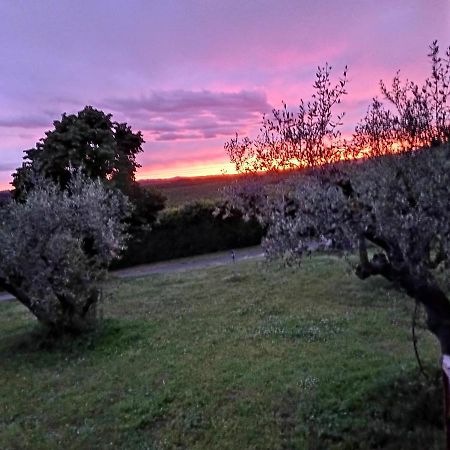 수트리 L'Orto Sul Poggio B&B 외부 사진